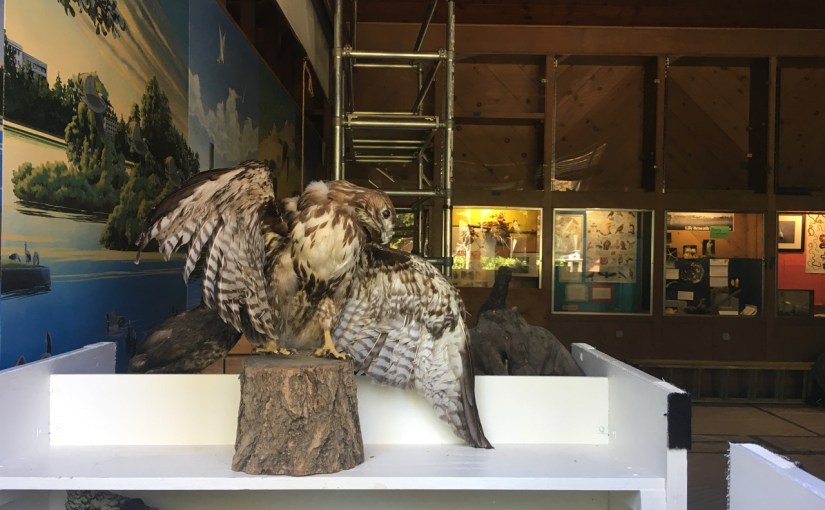 The Inside Cleanup&nbsp;Continues