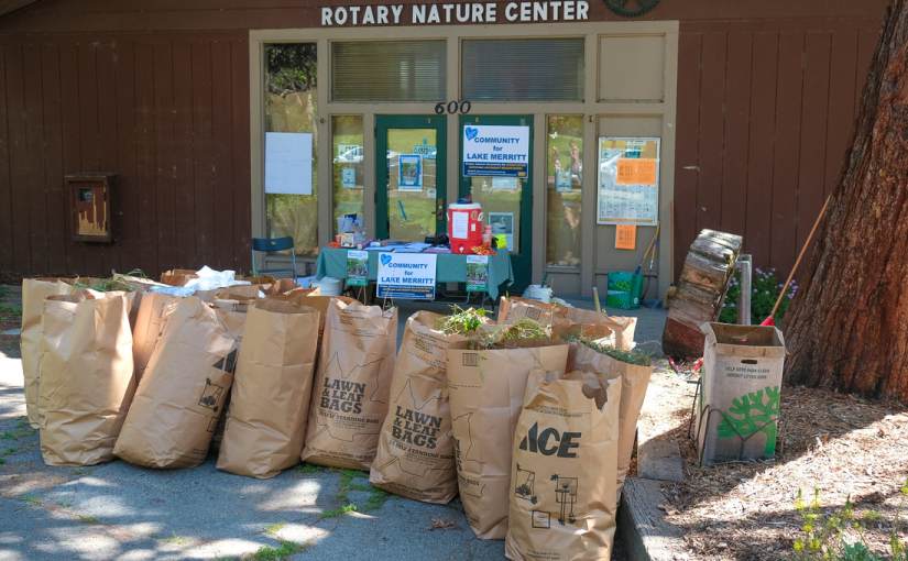 Volunteer Cleanup Sat, Jan&nbsp;5th