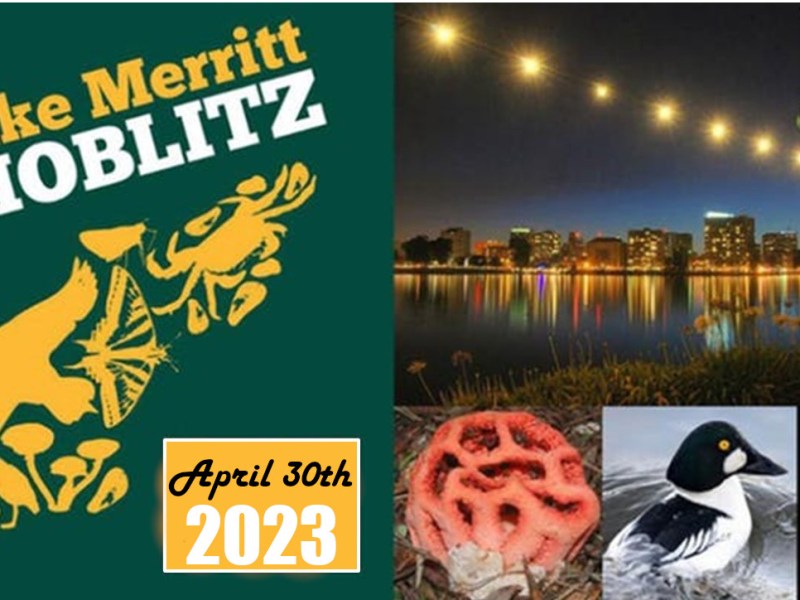 Sunday Apr 30th&nbsp;BioBlitz